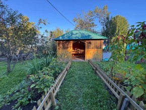Екатеренбург сад Торгмаш, СНТ  Садовод, уч. 52 в Ирбите - irbit.yutvil.ru - фото 10