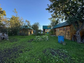 Екатеренбург сад Торгмаш, СНТ  Садовод, уч. 52 в Ирбите - irbit.yutvil.ru - фото 14