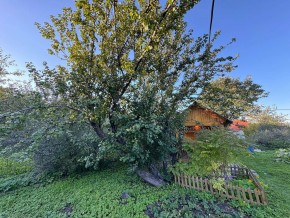 Екатеренбург сад Торгмаш, СНТ  Садовод, уч. 52 в Ирбите - irbit.yutvil.ru - фото 17