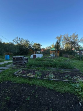 Екатеренбург сад Торгмаш, СНТ  Садовод, уч. 52 в Ирбите - irbit.yutvil.ru - фото 19