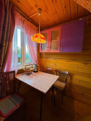 Екатеренбург сад Торгмаш, СНТ  Садовод, уч. 52 в Ирбите - irbit.yutvil.ru - фото 4
