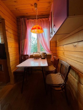 Екатеренбург сад Торгмаш, СНТ  Садовод, уч. 52 в Ирбите - irbit.yutvil.ru - фото 5