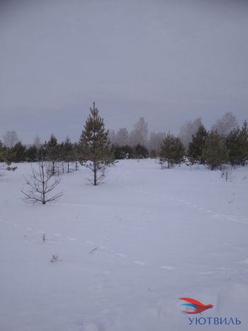 Земельный участок поселок Баженово в Ирбите - irbit.yutvil.ru - фото 5