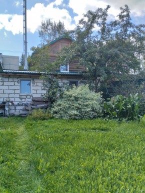 Коллективный сад номер 7, участок 58 в Ирбите - irbit.yutvil.ru - фото 21 Коллективный сад номер 7, участок 58 в Ирбите - irbit.yutvil.ru - фото 21