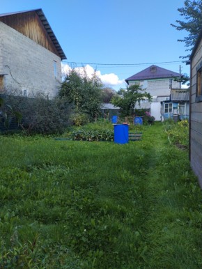 Коллективный сад номер 7, участок 58 в Ирбите - irbit.yutvil.ru - фото 26 Коллективный сад номер 7, участок 58 в Ирбите - irbit.yutvil.ru - фото 26
