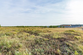 Российская Федерация, Свердловская область, Сысертский городской округ, территория садоводческого некоммерческого товарищества Бобровские дачи, улица Каштановая, земельный участок № 38 в Ирбите - irbit.yutvil.ru - фото 24