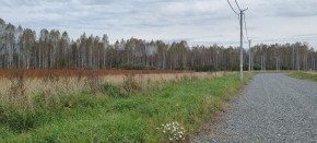с. Новоалексеевское, КП Оникс, в Ирбите - irbit.yutvil.ru - фото 1 с. Новоалексеевское, КП Оникс, в Ирбите - irbit.yutvil.ru - фото 1