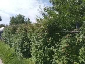 СНТ Медик-2 в Ирбите - irbit.yutvil.ru - фото 3