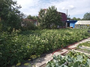 СНТ Медик-2 в Ирбите - irbit.yutvil.ru - фото 6
