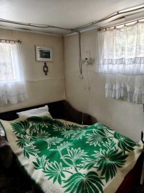 СНТ Родники в Ирбите - irbit.yutvil.ru - фото 10 СНТ Родники в Ирбите - irbit.yutvil.ru - фото 10