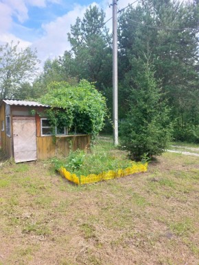 СНТ Родники в Ирбите - irbit.yutvil.ru - фото 2 СНТ Родники в Ирбите - irbit.yutvil.ru - фото 2