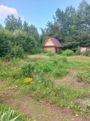 СНТ Родники в Ирбите - irbit.yutvil.ru - фото 3 СНТ Родники в Ирбите - irbit.yutvil.ru - фото 3