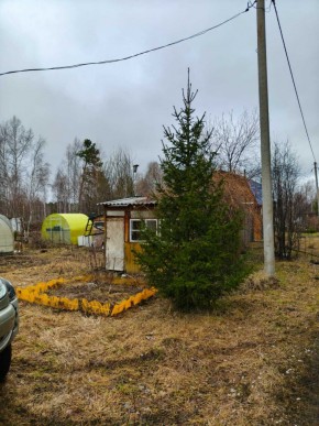 СНТ Родники в Ирбите - irbit.yutvil.ru - фото 5 СНТ Родники в Ирбите - irbit.yutvil.ru - фото 5