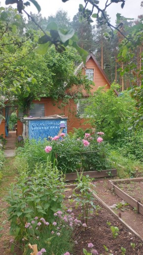 СНТ Садовод-24 в Ирбите - irbit.yutvil.ru
