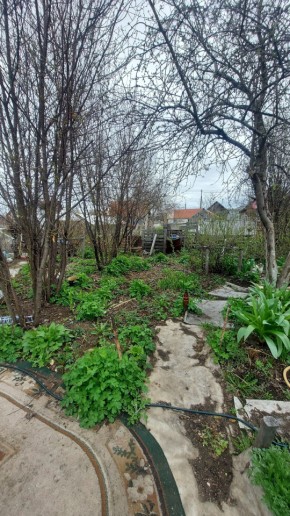 СНТ Сирень, уч. 38 в Ирбите - irbit.yutvil.ru - фото 7