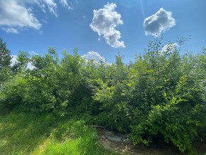 СПК Юбилейный, уч. 9 в Ирбите - irbit.yutvil.ru - фото 9