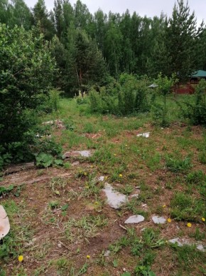 СТН Семья №112, Верхняя пышма на землях бывшего подсобного хозяйтва верхнепышминского опытного завода в Ирбите - irbit.yutvil.ru - фото 17 СТН Семья №112, Верхняя пышма на землях бывшего подсобного хозяйтва верхнепышминского опытного завода в Ирбите - irbit.yutvil.ru - фото 17
