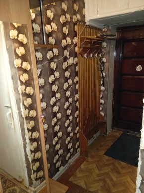 ул. Бажова,11 в Ирбите - irbit.yutvil.ru - фото 9