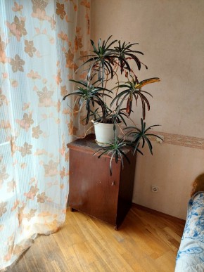 ул. Индустрии,29 в Ирбите - irbit.yutvil.ru - фото 4 ул. Индустрии,29 в Ирбите - irbit.yutvil.ru - фото 4