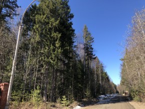ул. Калиновая,9 в Ирбите - irbit.yutvil.ru - фото 3 ул. Калиновая,9 в Ирбите - irbit.yutvil.ru - фото 3