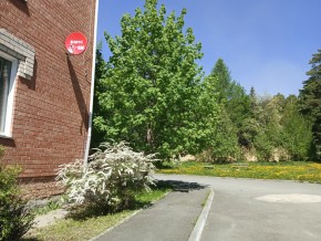 ул. Сосновая, 8 в Ирбите - irbit.yutvil.ru - фото 25