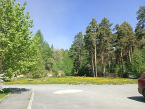 ул. Сосновая, 8 в Ирбите - irbit.yutvil.ru - фото 26