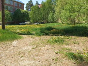 ул. Сосновая, 8 в Ирбите - irbit.yutvil.ru - фото 33