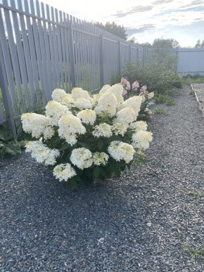 ул. Весенняя,12 в Ирбите - irbit.yutvil.ru - фото 20